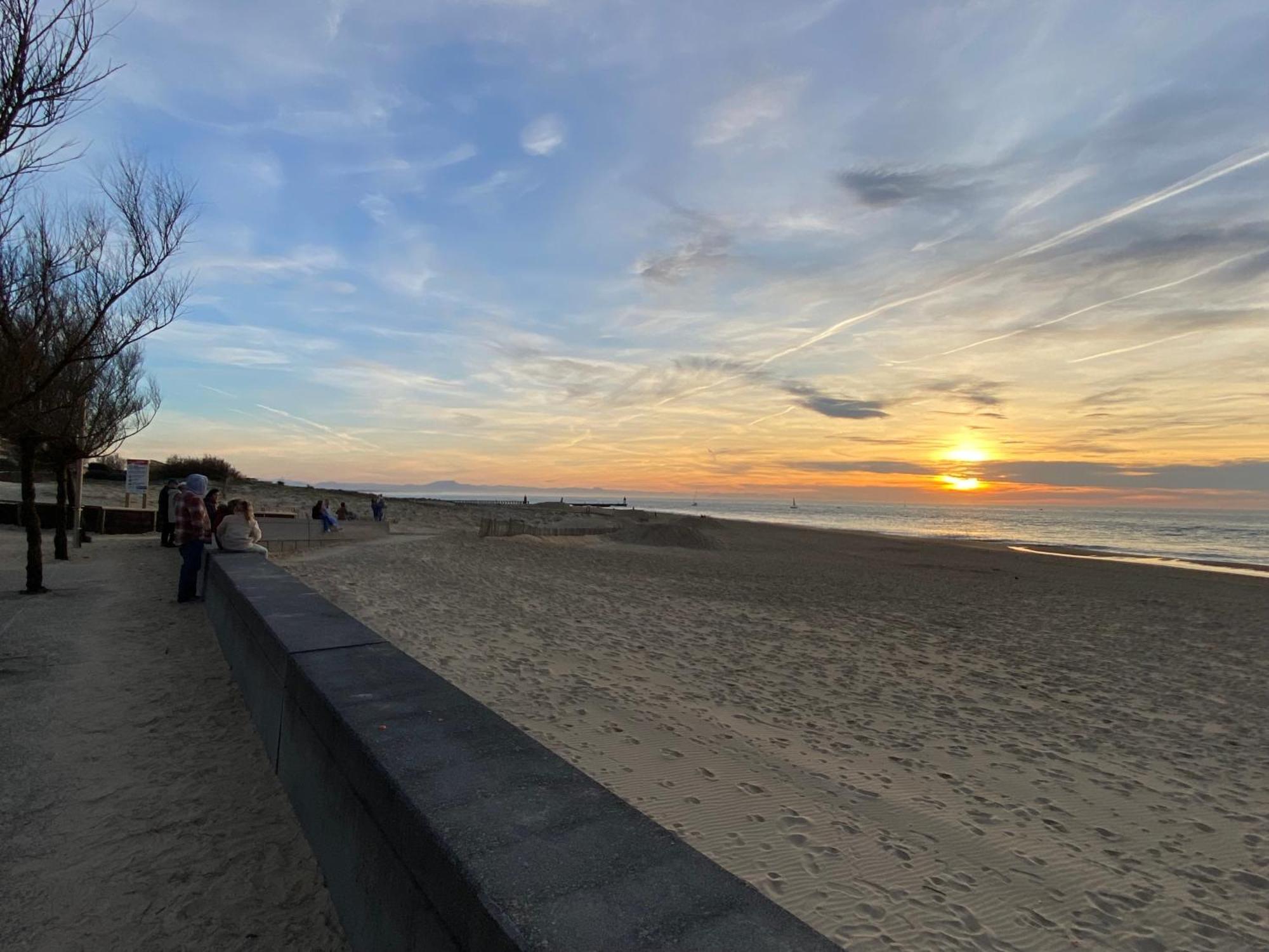 Cocon Intimiste Plage Sud 索尔特奥瑟戈尔 外观 照片